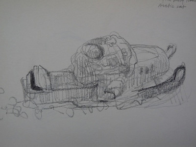 arctic cat
