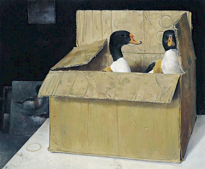 box with shelducks