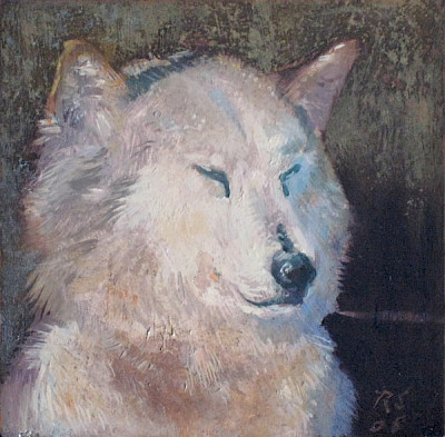 husky