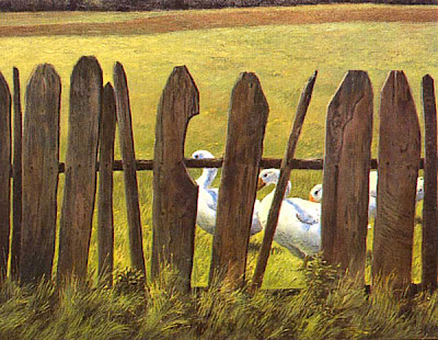 polish fence