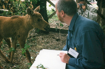 elk, Polen