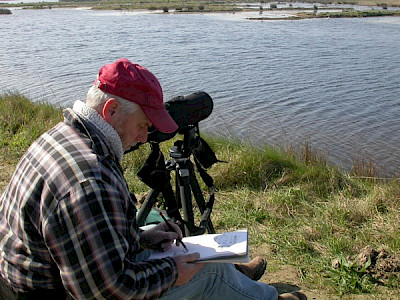 sketching, sebastopol