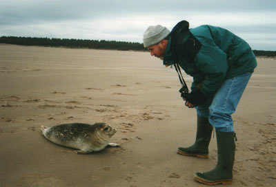 Robin with seal